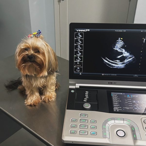 WhatsApp Image 2026-01-30 at 13.37.29