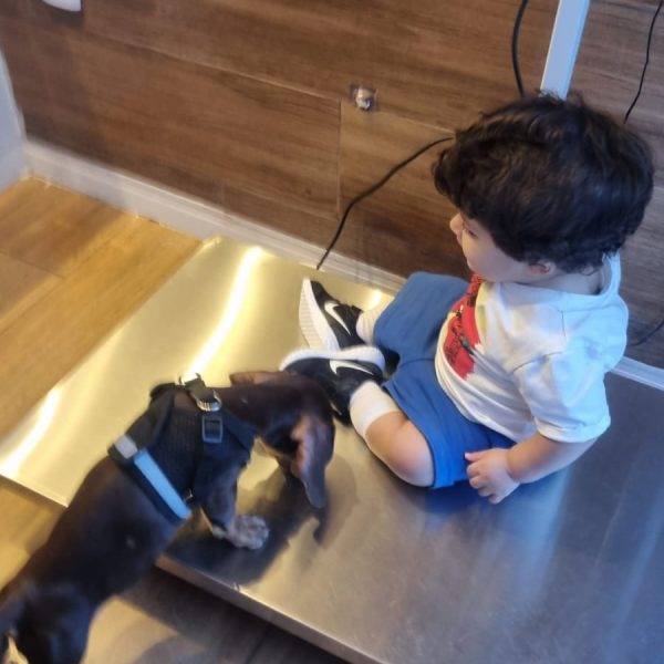 WhatsApp Image 2026-01-30 at 13.37.30 (1)